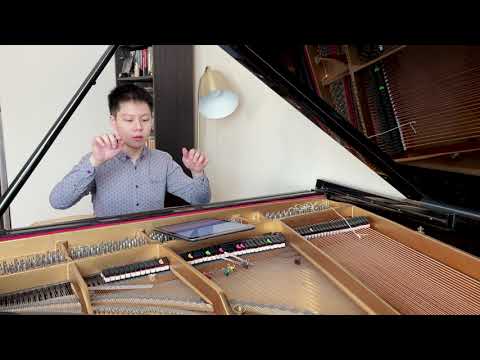 Vivian Fung: "Glimpses"